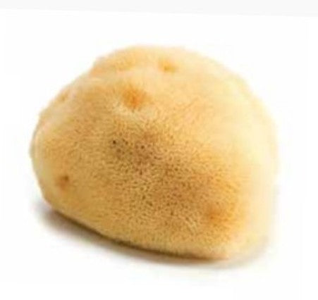 Esponja de banho natural Beliini fina pequena, cor bege clara, textura porosa, ideal para pele sensível de bebés e remoção de maquilhagem.