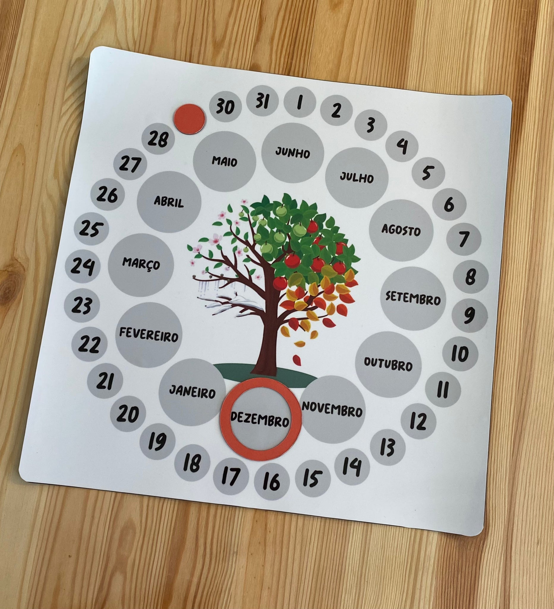 Calendário anual magnético Gotu, quadrado com fundo branco, mostrando os meses e estações do ano com rodelas magnéticas para marcação diária.