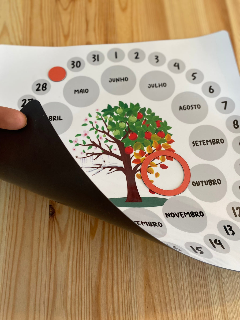 Detalhe do calendário magnético Gotu, focando nas rodelas magnéticas coloridas que representam os dias e meses, prontas a serem movidas.