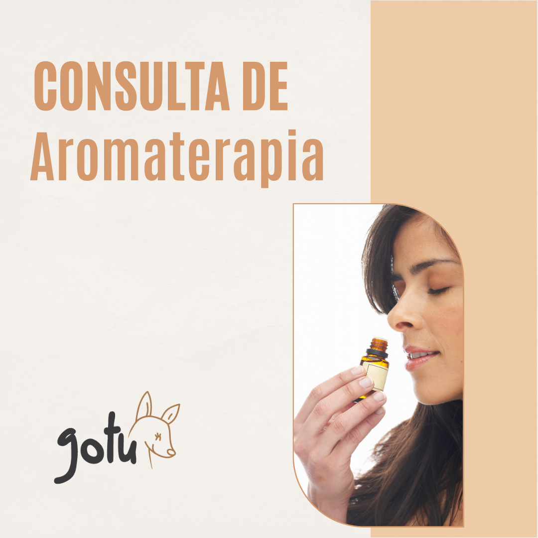 Difusor de óleos essenciais a libertar vapor, rodeado por frascos de óleos essenciais e flores secas, simbolizando a Aromaterapia.