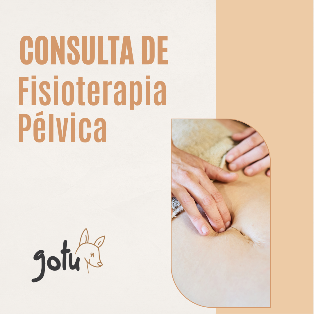 Fisioterapeuta em consulta a explicar a anatomia do assoalho pélvico numa representação 3D ou modelo anatómico.