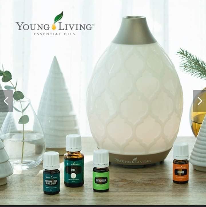 Difusor Young Living Desert Mist com frascos de oleos essenciais Citronela e Laranja sobre uma mesa de madeira.
