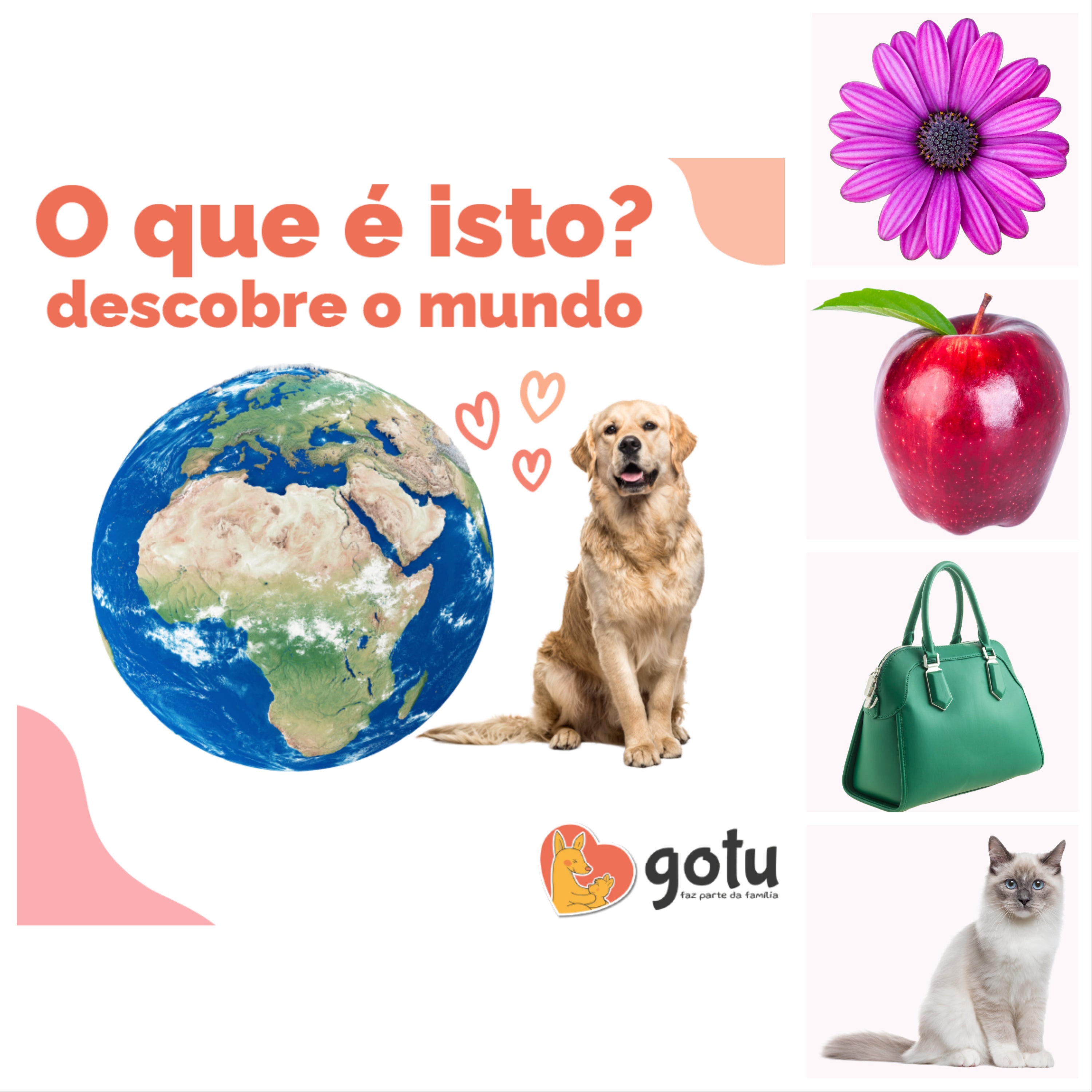 Capa promocional do Ebook "O que é isto? Descobre o mundo" da Gotu, com fundo branco e ícones de animais e objetos para introdução ao mundo para bebés.