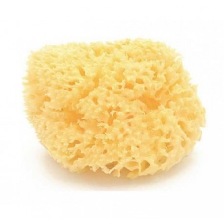 Esponja de banho natural Bellini de tom amarelado e textura porosa sobre fundo branco.