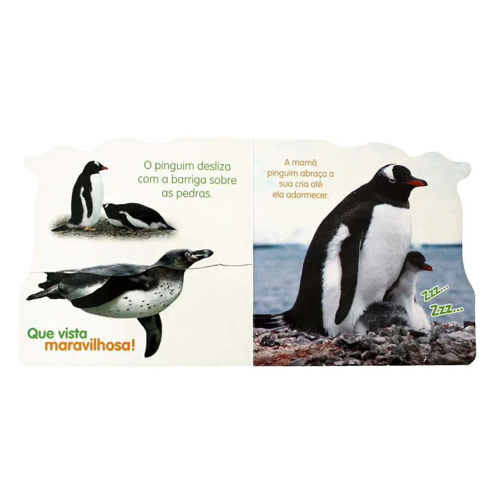 Página interna do livro sobre pinguins, mostrando imagens de pinguins a deslizar sobre as pedras e uma mãe pinguim a abraçar o seu filhote.
