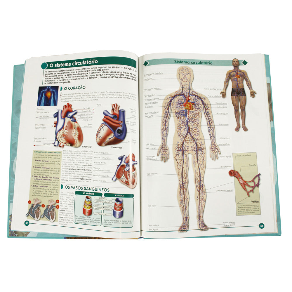 Páginas internas do livro mostrando ilustrações detalhadas do sistema circulatório humano, com legendas explicativas.
