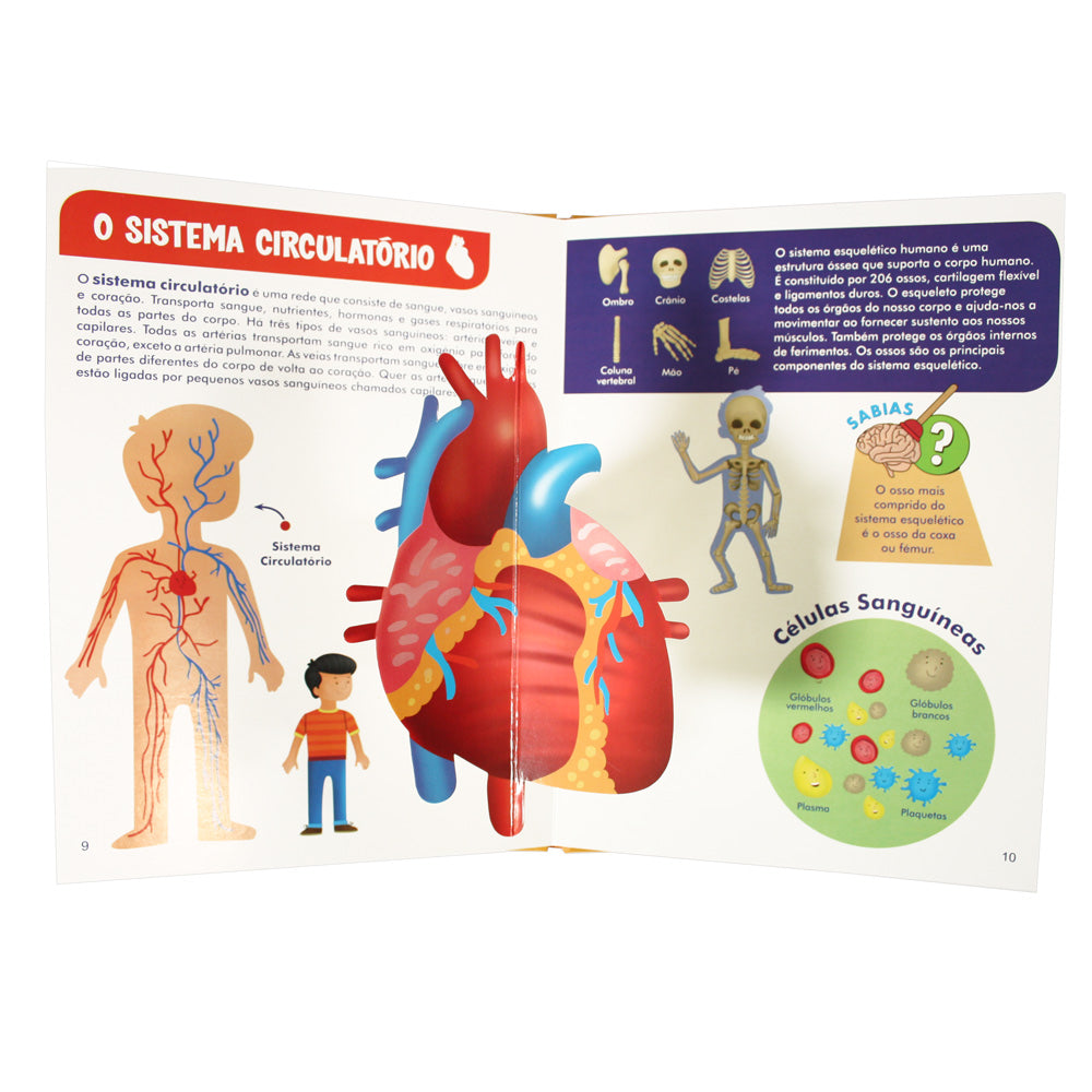 Imagem de página interna do livro, mostrando ilustrações detalhadas do sistema circulatório e esquelético, com informações adicionais sobre o corpo humano.