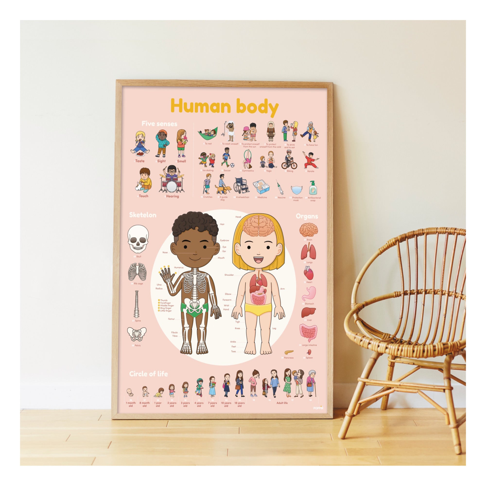 Poppik DISCOVERY - poster with stickers Human Body