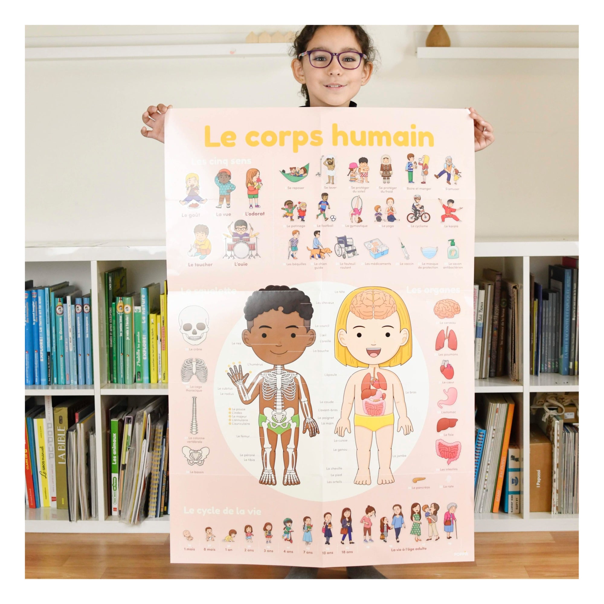 Poppik DISCOVERY - poster with stickers Human Body