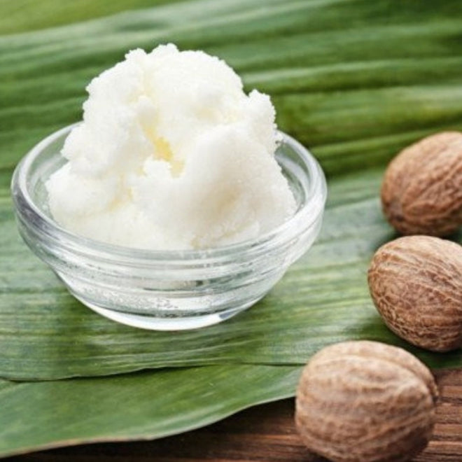Tigela de vidro com manteiga de karité branca cremosa ao lado de frutos de karité sobre uma folha verde.