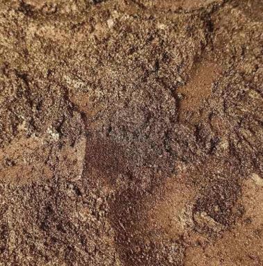 Mica pigmento em pó cor café perolizado, apresentada num pequeno recipiente transparente, mostrando a textura fina do pó cosmético.