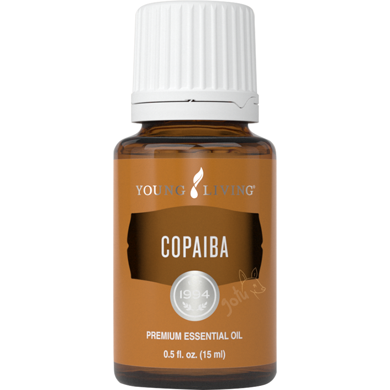 Frasco de óleo essencial de Copaíba Young Living 15ml sobre fundo neutro