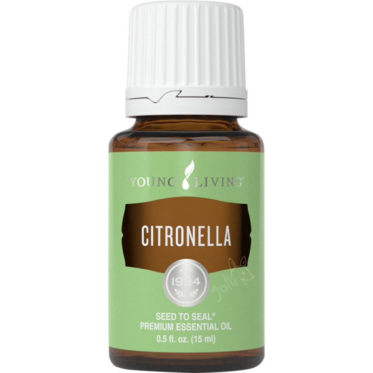 Frasco de 5ml de óleo essencial de Citronella da Young Living sobre fundo branco.
