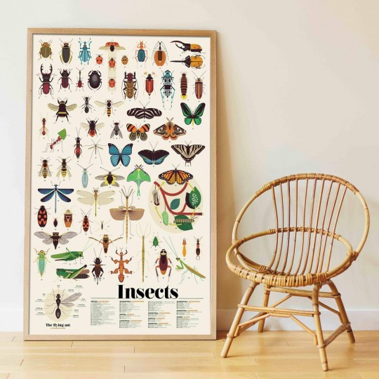 POPPIK DISCOVERY - poster with Insect stickers