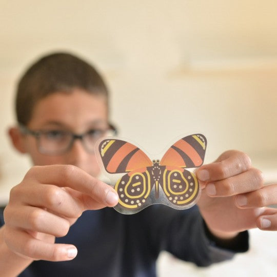 POPPIK DISCOVERY - poster with Insect stickers