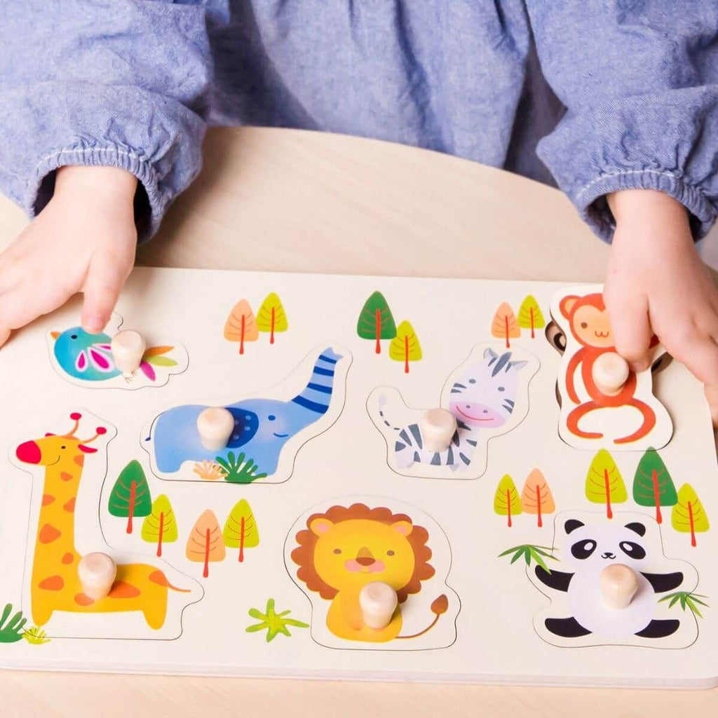 Classic World 8-piece wooden handle puzzle 