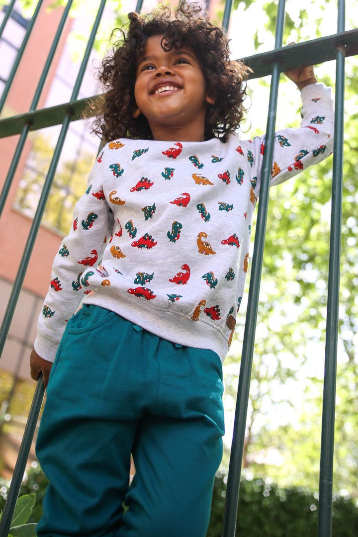 Detalhe da estampa de dinossauros na sweatshirt cinzenta, mostrando cores vibrantes e textura do tecido macio.