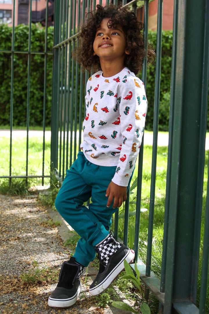 Sweatshirt cinzenta de manga comprida com estampa de dinossauros coloridos, parte do conjunto Street Monkey para criança.