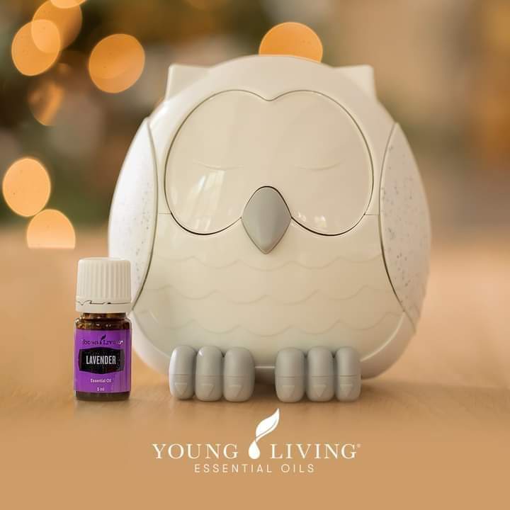 Difusor Young Living Feather the Owl (Mochinho) branco, em forma de coruja, ligado com luz noturna suave e vapor a sair do bico.
