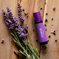 Detalhe do rótulo do óleo Young Living kidScents DreamEase, mostrando o nome do produto e a marca Young Living.