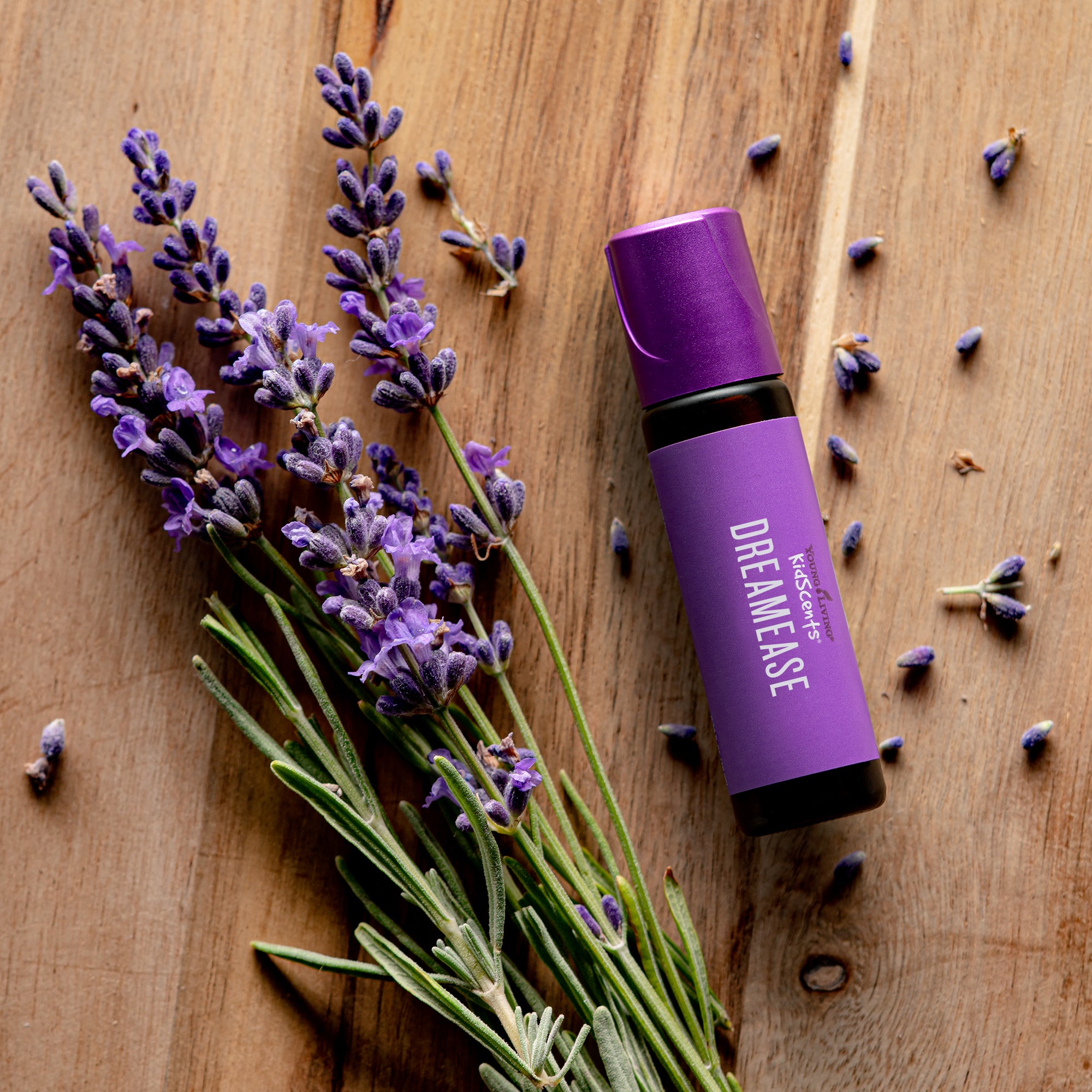 Detalhe do rótulo do óleo Young Living kidScents DreamEase, mostrando o nome do produto e a marca Young Living.