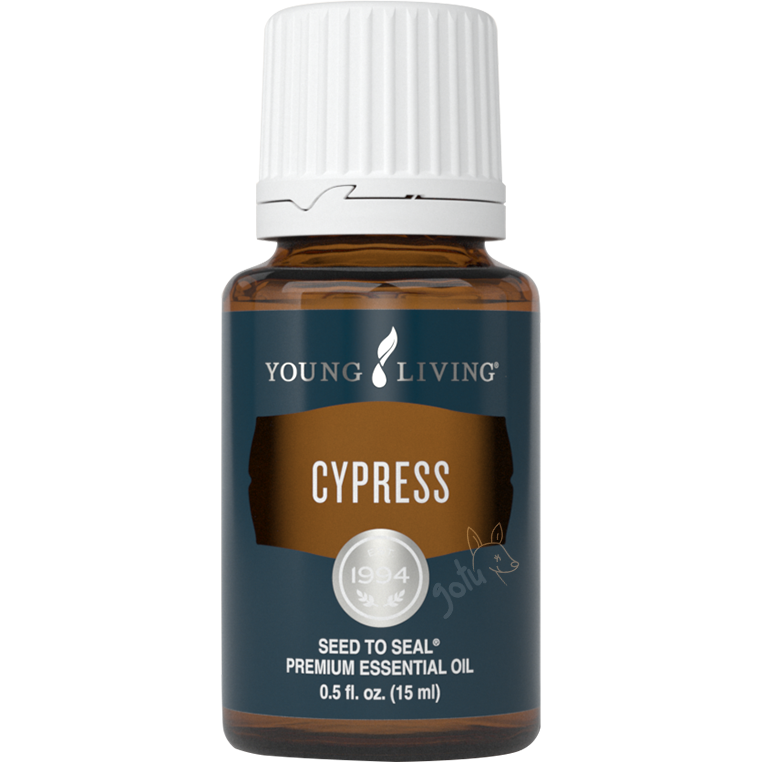 Frasco de 15ml de óleo essencial Cypress da Young Living, com rótulo verde e aroma revigorante de cipreste.