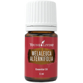 Frasco de óleo essencial Tea Tree Melaleuca da Young Living de 15ml sobre madeira com folhas verdes decorativas.