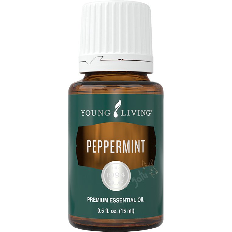 Frasco de 15ml de óleo essencial Peppermint da Young Living, com aroma refrescante de hortelã-pimenta para foco.