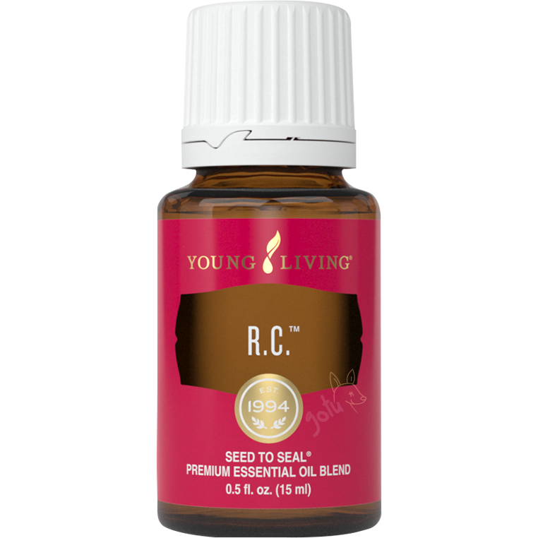 Frasco de 5ml do óleo essencial RC da Young Living, uma mistura revigorante de eucalipto e pinheiro.